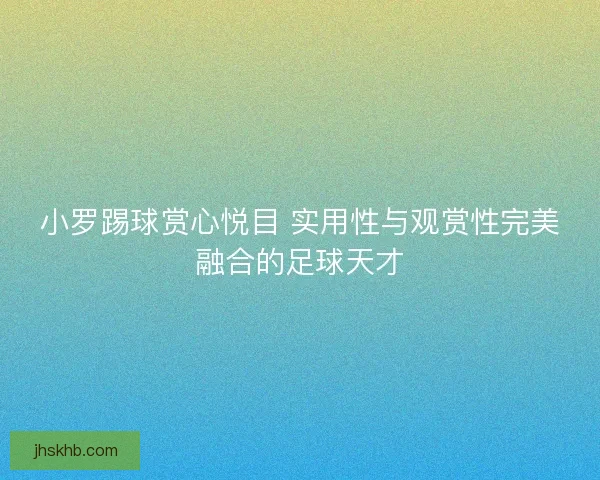 小罗踢球赏心悦目 实用性与观赏性完美融合的足球天才
